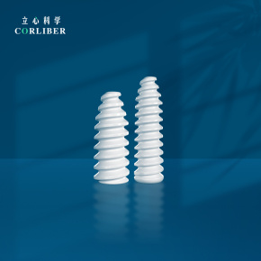 Bioabsorable Interference Sccrew